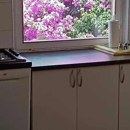 Apartment Sirius