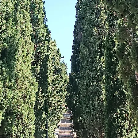 Sirius Appartamento *