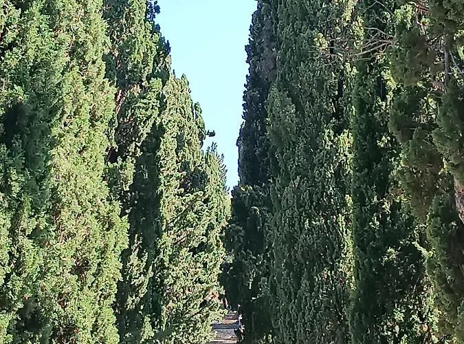 Sirius Appartement *